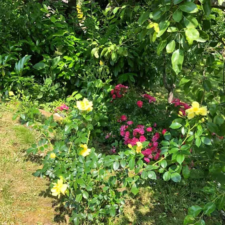 Hébergement de vacances La Maison D'olivier