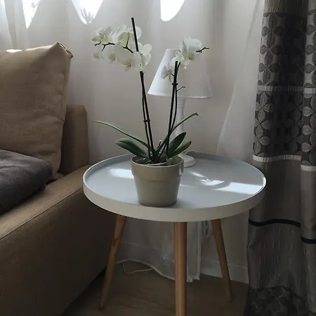 Hébergement de vacances La Maison D'olivier *