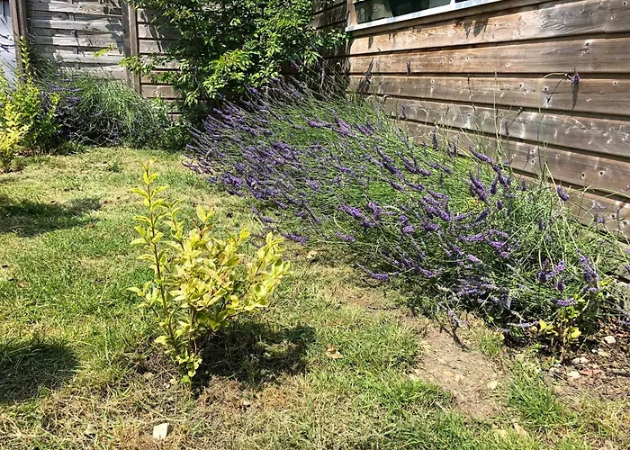 La Maison D'olivier Feriehus