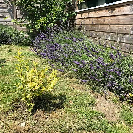 La Maison D'olivier Hébergement de vacances