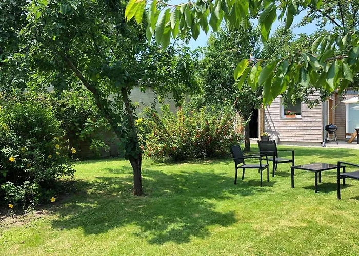 Holiday home La Maison D'olivier *