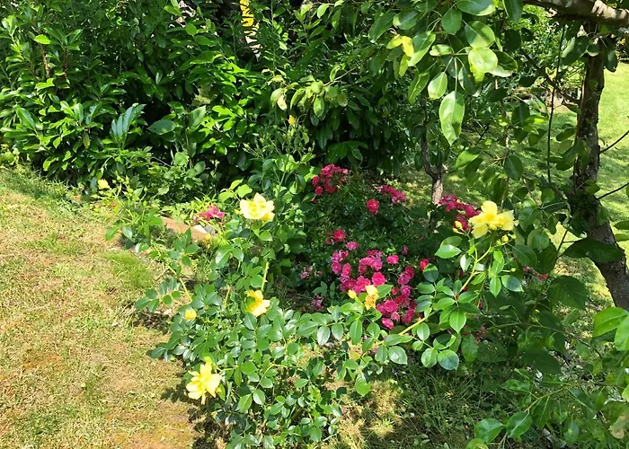 Holiday home La Maison D'olivier